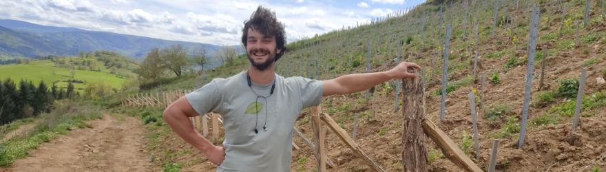 Épisode 3 : La vigne reprend racine