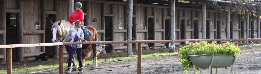 À cheval entre inclusion et esprit d'équipe