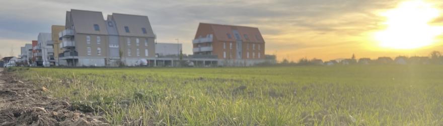 La ville pousse, la campagne s'émousse