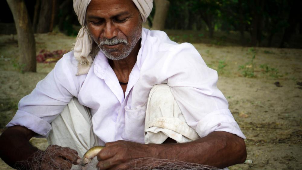 Les pêcheurs ont observé la disparition de certaines espèces. Il ne reste plus qu'une seule sorte d'anguille dans la Yamuna. 